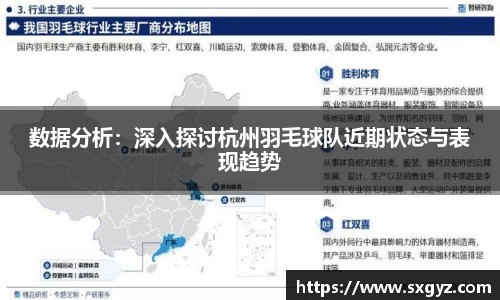 数据分析：深入探讨杭州羽毛球队近期状态与表现趋势